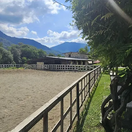Bed and breakfast Dei Laghetti